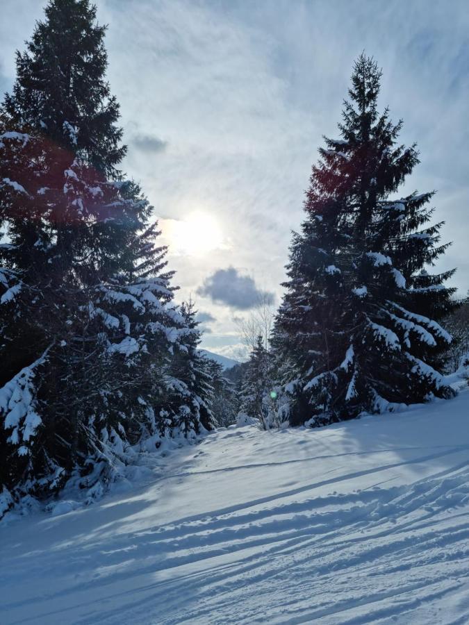 比桑Les Randogodilleurs Avec Jacuzzi A 2Kms Des Pistes Et 350M Du Theatre Du Peuple !别墅 外观 照片